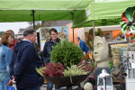 Bauernmarkt Besten 2021/ Fotos Gaby Eggert