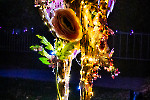 Enchanted Gardens im Schlosspark Arcen/ Fotos Rainer Hoheisel