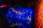 Enchanted Gardens im Schlosspark Arcen/ Fotos Rainer Hoheisel
