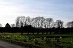Frühling 2018/ Fotos Gaby Eggert