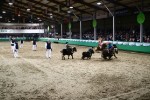 Gahlen 2019/Fotos Marc Anschütz