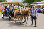Hoffest Lüherlerheim 2024/ Fotos Rainer Hoheisel und Gaby Eggert