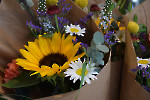 Jubiläum Blumen Stricker/ Fotos Gaby Eggert