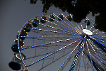 KF019