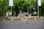 Sa061