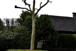F005