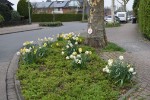 Noch mehr Frühling/ Fotos Gaby Eggert