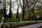 Noch mehr Frühling/ Fotos Gaby Eggert