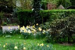 Noch mehr Frühling/ Fotos Gaby Eggert