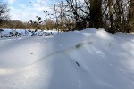 Noch mehr Winterwonderland von Marc Anschütz und einigen Lesern
