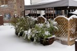 Schermbeck im Schnee/ Fotos Gaby Eggert