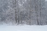 Schermbeck im Schnee