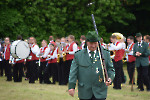 SFDa65