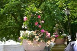 Stil & Art/ Fotos Gaby Eggert