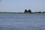 Gi041