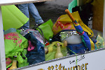 Tulpensonntagsumzug Damm/ Fotos Gaby Eggert
